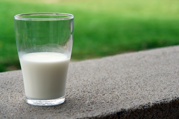 a healthy, cheap dairy option